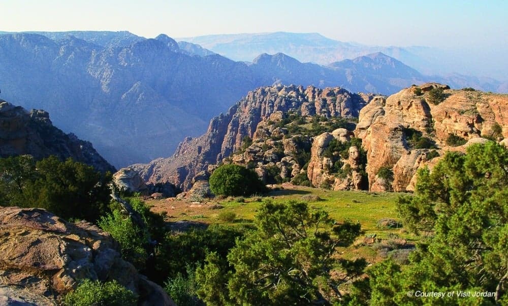 هاكاثون الطفيلة للريادة التقنية